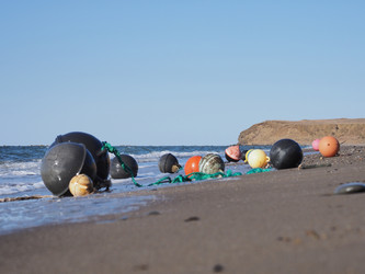 Similar image 22475504