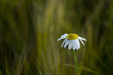 Similar image 22459141