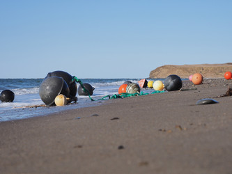 Similar image 22475506