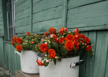 Similar image 22459142