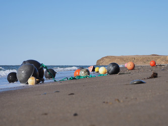 Similar image 22475525