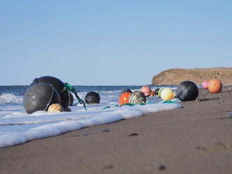 Similar image 22475528