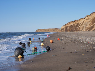 Similar image 22475529