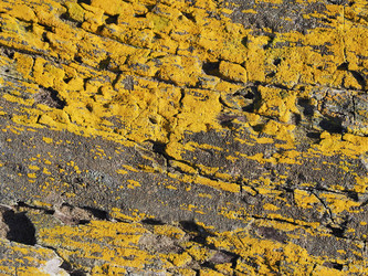 Similar image 22469803