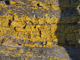 Similar image 22469693