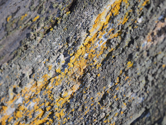 Similar image 22469694