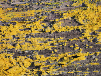 Similar image 22469695