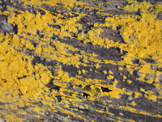 Similar image 22469696