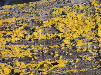 Similar image 22469708