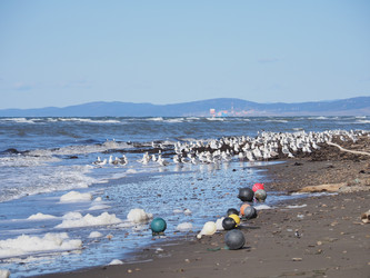 Similar image 22475496