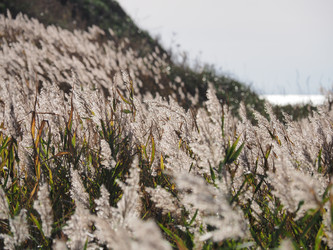 Similar image 22469709