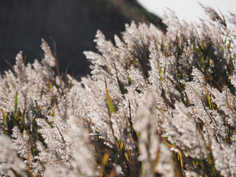 Similar image 22469723