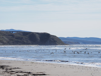 Similar image 22475497