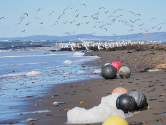 Similar image 22475498