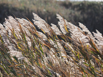 Similar image 22469724