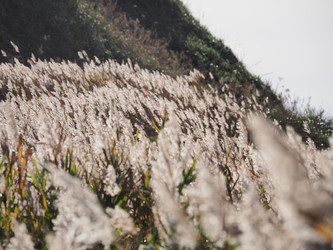 Similar image 22469746