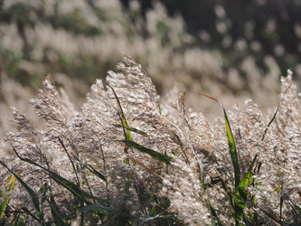 Similar image 22469747