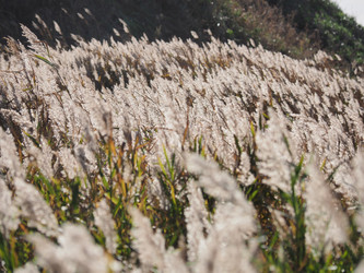 Similar image 22469764