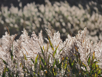 Similar image 22469765