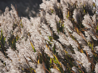 Similar image 22469766