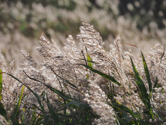 Similar image 22469767