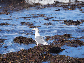 Similar image 22475500