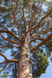 Similar image 22469580