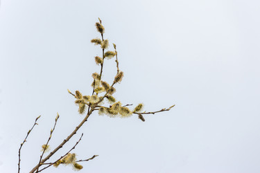 Similar image 22469581