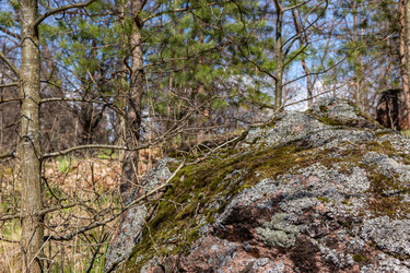 Similar image 22469582