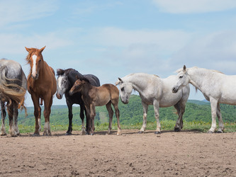 Similar image 22464830