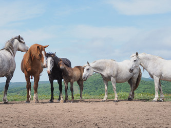 Similar image 22464831