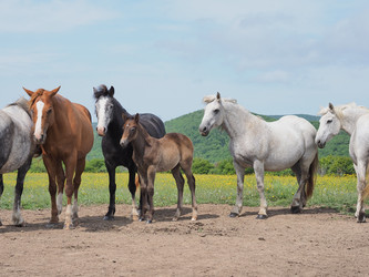 Similar image 22464832