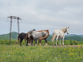 Similar image 22464833