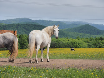 Similar image 22464834