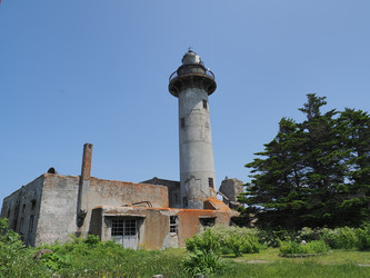 Similar image 22469791