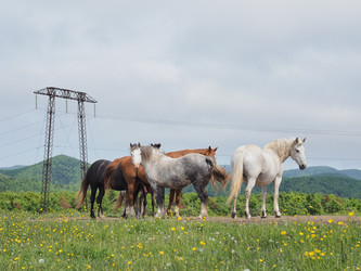 Similar image 22464835