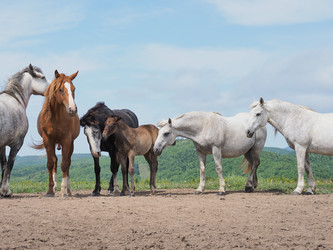 Similar image 22464836