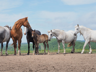 Similar image 22464837