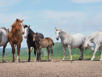 Similar image 22464838