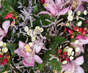 Similar image 22458667