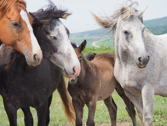 Similar image 22464839