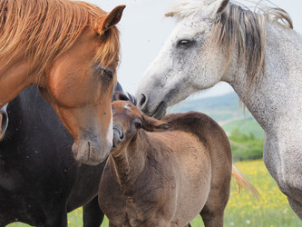 Similar image 22464840