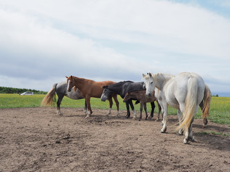 Similar image 22464841