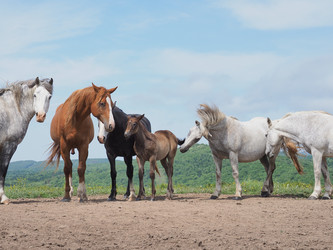 Similar image 22464842