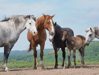 Similar image 22464851