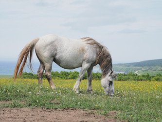 Similar image 22464852