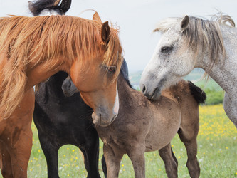 Similar image 22464853