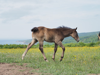 Similar image 22464854