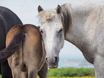 Similar image 22464855