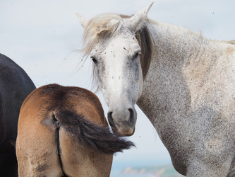 Similar image 22464856